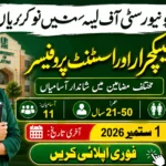 University of Layyah Jobs 2026 featured image highlighting lecturer and assistant professor vacancies, 11 positions, age limit of 21–50 years, and application deadline of 1 September 2026.
